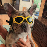 Dog Sunglasses - UV Protection and Wind-Proof Eyewear for Pets